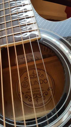 Carbon Fibre Guitar Close Up