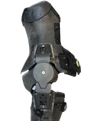 Exoskeleton Knee Joint